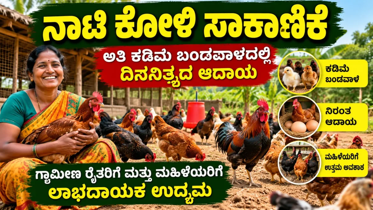ಗ್ರಾಮೀಣ ಕರ್ನಾಟಕದಲ್ಲಿ ನಾಟಿ ಕೋಳಿ ಸಾಕಾಣಿಕೆ ಮತ್ತು ಕೋಳಿ ಕೊಟ್ಟಿಗೆ ಚಿತ್ರ