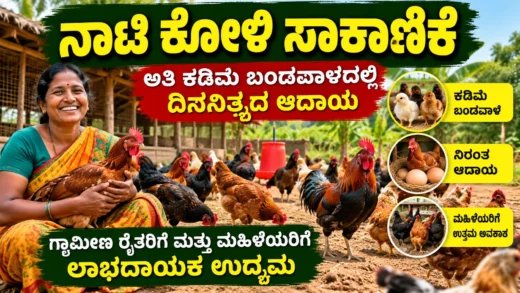 ಗ್ರಾಮೀಣ ಕರ್ನಾಟಕದಲ್ಲಿ ನಾಟಿ ಕೋಳಿ ಸಾಕಾಣಿಕೆ ಮತ್ತು ಕೋಳಿ ಕೊಟ್ಟಿಗೆ ಚಿತ್ರ