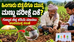 ಬಿತ್ತನೆಗೆ ಮೊದಲು ಕೃಷಿ ಮಣ್ಣಿನ ಮಾದರಿ ಪರೀಕ್ಷಿಸುತ್ತಿರುವ ರೈತ