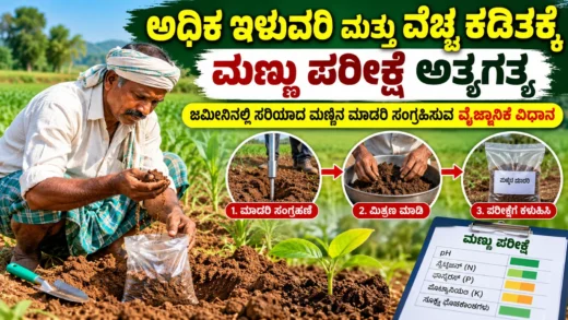 ಕೃಷಿ ಜಮೀನಿನಲ್ಲಿ ಮಣ್ಣು ಪರೀಕ್ಷೆಗಾಗಿ ಮಾದರಿ ಸಂಗ್ರಹಣೆ ಮತ್ತು ಮಣ್ಣಿನ ಆರೋಗ್ಯ ಮಾಹಿತಿ ಚಿತ್ರ
