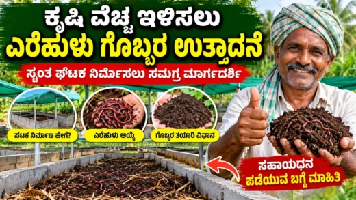 ರೈತರು ಎರೆಹುಳು ಗೊಬ್ಬರ ಉತ್ಪಾದನೆಗೆ ಸಾವಯವ ಗೊಬ್ಬರ ಘಟಕ ನಿರ್ವಹಿಸುವ ಚಿತ್ರ