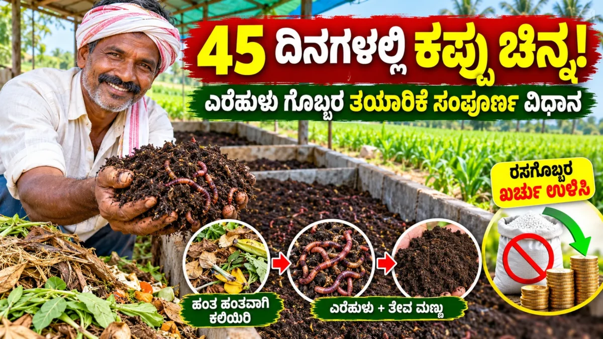 ಎರೆಹುಳುಗಳ ಸಹಾಯದಿಂದ ಸಾವಯವ ಗೊಬ್ಬರ ತಯಾರಿಸುವ ಪ್ರಕ್ರಿಯೆಯ ಚಿತ್ರ