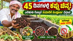 ಎರೆಹುಳುಗಳ ಸಹಾಯದಿಂದ ಸಾವಯವ ಗೊಬ್ಬರ ತಯಾರಿಸುವ ಪ್ರಕ್ರಿಯೆಯ ಚಿತ್ರ