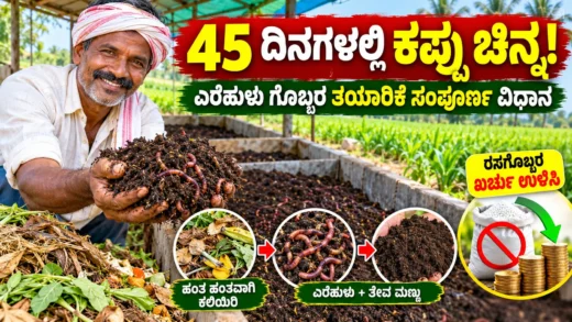ಎರೆಹುಳುಗಳ ಸಹಾಯದಿಂದ ಸಾವಯವ ಗೊಬ್ಬರ ತಯಾರಿಸುವ ಪ್ರಕ್ರಿಯೆಯ ಚಿತ್ರ