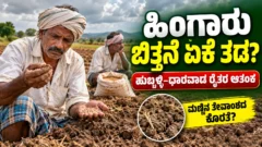 ಉತ್ತರ ಕರ್ನಾಟಕದಲ್ಲಿ ಹಿಂಗಾರು ಬಿತ್ತನೆಗೆ ಮಳೆಯ ನಿರೀಕ್ಷೆಯಲ್ಲಿರುವ ರೈತ ಮತ್ತು ಒಣ ಕೃಷಿ ಹೊಲ