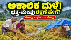 ದಕ್ಷಿಣ ಕನ್ನಡದಲ್ಲಿ ಅಕಾಲಿಕ ಮಳೆ ಮತ್ತು ಭತ್ತದ ಕಟಾವು ರಕ್ಷಣೆ ಮಾಹಿತಿ