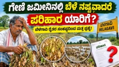 ಗೇಣಿ ಜಮೀನು ಬೆಳೆ ನಷ್ಟ ಪರಿಹಾರ ಯಾರಿಗೆ ಸಿಗುತ್ತದೆ ಎಂಬ ಕರ್ನಾಟಕ ರೈತರ ಮಾಹಿತಿ ಚಿತ್ರ