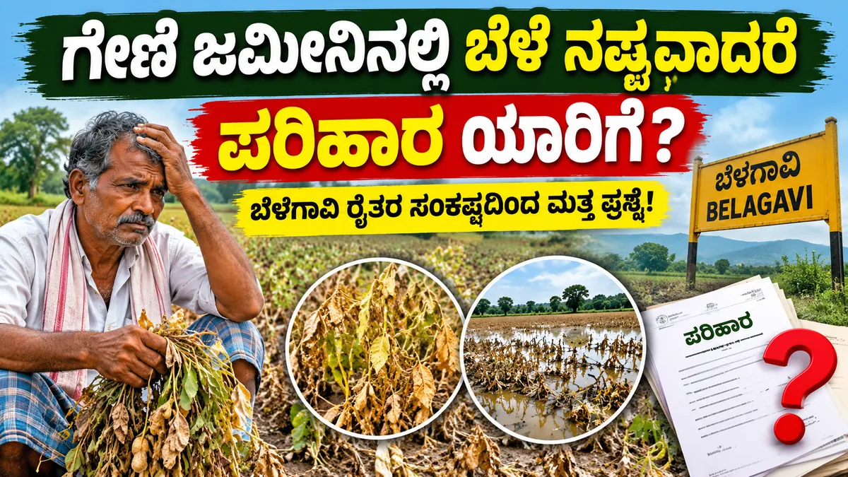ಗೇಣಿ ಜಮೀನು ಬೆಳೆ ನಷ್ಟ ಪರಿಹಾರ ಯಾರಿಗೆ ಸಿಗುತ್ತದೆ ಎಂಬ ಕರ್ನಾಟಕ ರೈತರ ಮಾಹಿತಿ ಚಿತ್ರ