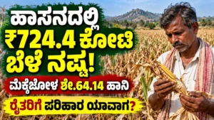 ಹಾಸನದಲ್ಲಿ ₹724.4 ಕೋಟಿ ಬೆಳೆ ನಷ್ಟದ ಅಂದಾಜು: ಜೋಳದ ಶೇ.64.14 ಬೆಳೆ ಹಾನಿ; ರೈತರಿಗೆ ಪರಿಹಾರ ಯಾವಾಗ?