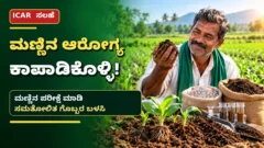 ಮಣ್ಣಿನ ಆರೋಗ್ಯ ಮತ್ತು ಸಮತೋಲಿತ ರಸಗೊಬ್ಬರ ಬಳಕೆ ಕುರಿತು ICAR ಕೃಷಿ ಮಾಹಿತಿ - ಕನ್ನಡ ರೈತರ ಸುದ್ದಿಚಿತ್ರ