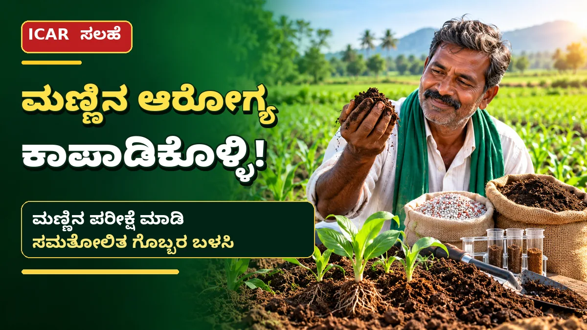 ಮಣ್ಣಿನ ಆರೋಗ್ಯ ಮತ್ತು ಸಮತೋಲಿತ ರಸಗೊಬ್ಬರ ಬಳಕೆ ಕುರಿತು ICAR ಕೃಷಿ ಮಾಹಿತಿ - ಕನ್ನಡ ರೈತರ ಸುದ್ದಿಚಿತ್ರ