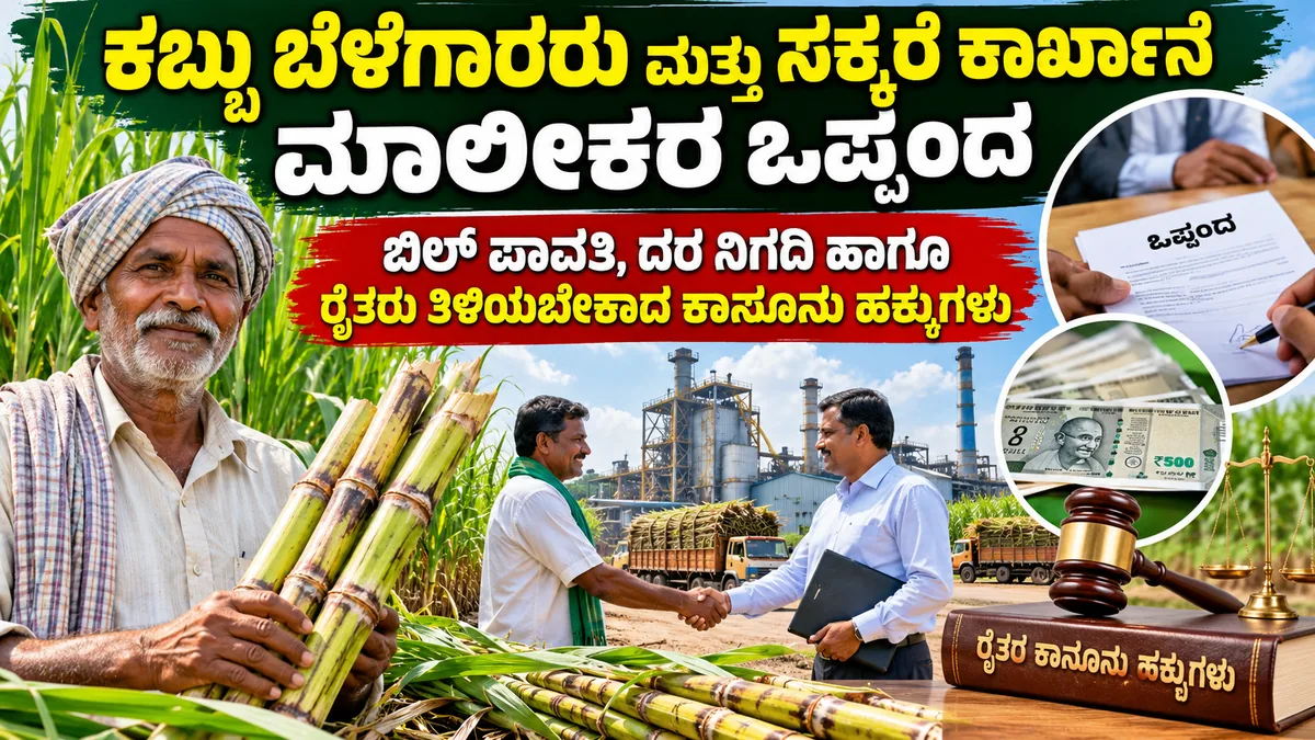 ಕಬ್ಬು ಬೆಳೆಗಾರರ ಕಾನೂನು ಹಕ್ಕುಗಳು ಕಾರ್ಖಾನೆ ಒಪ್ಪಂದ ಮತ್ತು FRP ಬಿಲ್ ಪಾವತಿ ಮಾರ್ಗದರ್ಶಿ