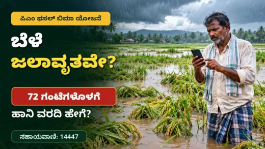 ಮಳೆಯಿಂದ ಜಲಾವೃತವಾದ ಬೆಳೆ ಪ್ರದೇಶ ಮತ್ತು ಬೆಳೆ ವಿಮೆ ಹಾನಿ ವರದಿ ಕುರಿತ ಚಿತ್ರ