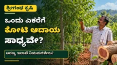 ಕೃಷಿ ಭೂಮಿಯಲ್ಲಿನ ಶ್ರೀಗಂಧ ಮರಗಳು ಮತ್ತು ಬೆಳೆಯ ನಿರ್ವಹಣೆಯ ಮಾಹಿತಿ ಚಿತ್ರ