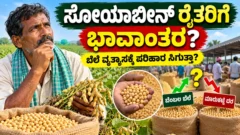 ಸೋಯಾಬೀನ್ ಬೆಂಬಲ ಬೆಲೆ ಮತ್ತು ಭಾವಾಂತರ ಯೋಜನೆ ಕುರಿತ ಮಾಹಿತಿ