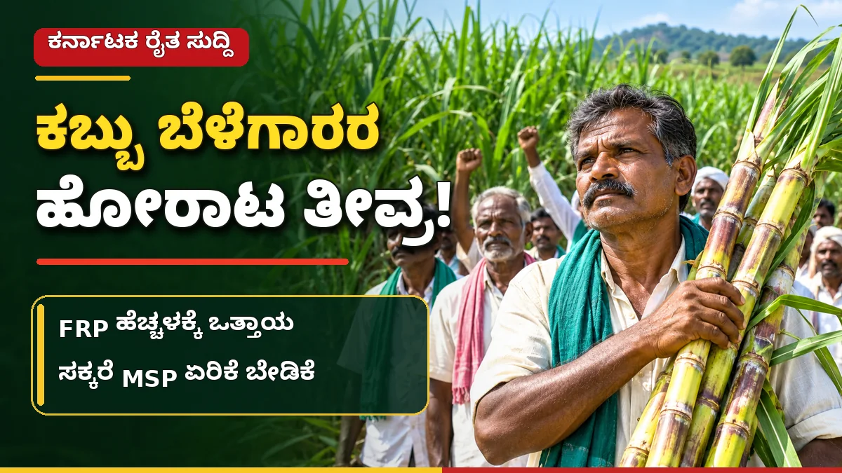 ಕರ್ನಾಟಕದಲ್ಲಿ ಕಬ್ಬು ಬೆಳೆಗಾರರ ಪ್ರತಿಭಟನೆ ಮತ್ತು ಕಬ್ಬು ಬೆಲೆ ಕುರಿತ ಸುದ್ದಿ ಚಿತ್ರ