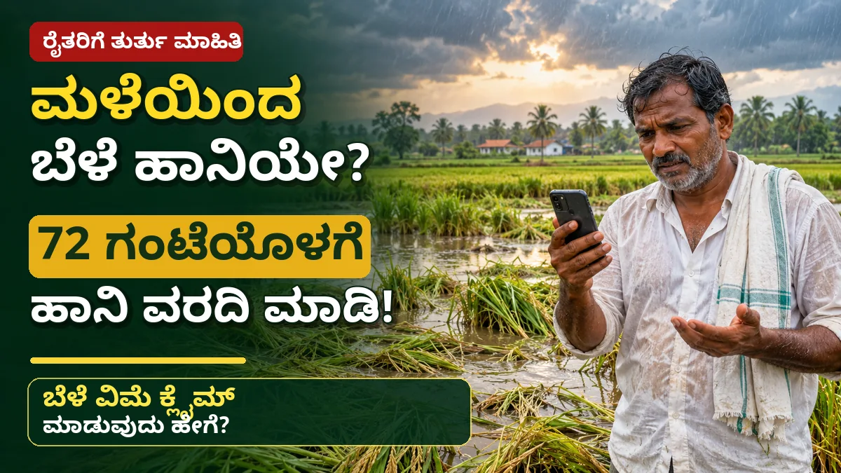 ಮಳೆಯಿಂದ ಬೆಳೆ ಹಾನಿ ಮತ್ತು PMFBY ಬೆಳೆ ವಿಮೆ ಕ್ಲೈಮ್ ವಿಧಾನ ಕುರಿತ ಕನ್ನಡ ಮಾಹಿತಿ ಚಿತ್ರ