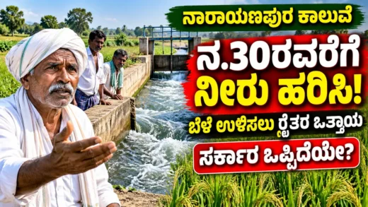 ನಾರಾಯಣಪುರ ನೀರಾವರಿ ಕಾಲುವೆಗೆ ನವೆಂಬರ್ 30ರವರೆಗೆ ನೀರು ಹರಿಸುವಂತೆ ರೈತರ ಬೇಡಿಕೆ