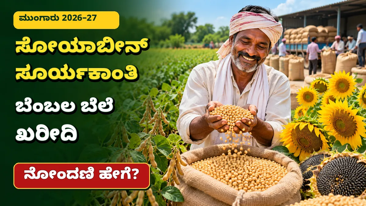 ಕರ್ನಾಟಕದಲ್ಲಿ ಸೋಯಾಬೀನ್ ಮತ್ತು ಸೂರ್ಯಕಾಂತಿ ಬೆಳೆಗಳ ಬೆಂಬಲ ಬೆಲೆ ಖರೀದಿ ಮಾಹಿತಿಗೆ ಸಂಬಂಧಿಸಿದ ಕೃಷಿ ಚಿತ್ರ