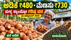 ಸುಳ್ಯ ಕ್ಯಾಂಪ್ಕೋ ಅಡಿಕೆ ಮತ್ತು ಕಾಳುಮೆಣಸು ಮಾರುಕಟ್ಟೆ ದರ ಮಾಹಿತಿ