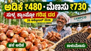 ಅಡಿಕೆಗೆ ₹480, ಕಾಳುಮೆಣಸಿಗೆ ₹730 ದರ: ಅಕ್ಟೋಬರ್ 26ರ ಸುಳ್ಯ ಕ್ಯಾಂಪ್ಕೋ ಮಾರುಕಟ್ಟೆ ದರಪಟ್ಟಿ ಹಾಗೂ ಬೆಲೆ ವಿಶ್ಲೇಷಣೆ