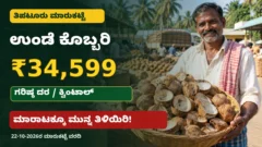 ತಿಪಟೂರು ಉಂಡೆ ಕೊಬ್ಬರಿ ಮಾರುಕಟ್ಟೆ ದರ ಮತ್ತು ಕೊಬ್ಬರಿ ಮಾರಾಟ ಮಾಹಿತಿ ಚಿತ್ರ