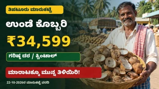 ತಿಪಟೂರು ಉಂಡೆ ಕೊಬ್ಬರಿ ಮಾರುಕಟ್ಟೆ ದರ ಮತ್ತು ಕೊಬ್ಬರಿ ಮಾರಾಟ ಮಾಹಿತಿ ಚಿತ್ರ