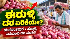 ಈರುಳ್ಳಿ ಬೆಳೆ ಮತ್ತು ಮಾರುಕಟ್ಟೆ ದರ ಏರಿಳಿತ ಕುರಿತು ಚಿತ್ರ