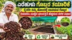 ಎರೆಹುಳು ಗೊಬ್ಬರದಿಂದ ಸಾವಯವ ಗೊಬ್ಬರ ತಯಾರಿಕೆ ಮತ್ತು ಮಣ್ಣಿನ ಆರೋಗ್ಯದ ಚಿತ್ರ