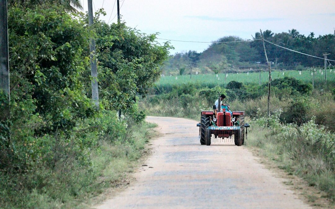 ಕರ್ನಾಟಕ MSP ಖರೀದಿ 2026 – ಸೋಯಾಬೀನ್, ಹೆಸರು ಮತ್ತು ಸೂರ್ಯಕಾಂತಿ ರೈತರಿಗೆ ₹1,107 ಕೋಟಿ ಖರೀದಿ ಅನುಮೋದನೆ