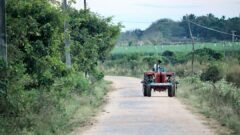 ಕರ್ನಾಟಕ MSP ಖರೀದಿ 2026 – ಸೋಯಾಬೀನ್, ಹೆಸರು ಮತ್ತು ಸೂರ್ಯಕಾಂತಿ ರೈತರಿಗೆ ₹1,107 ಕೋಟಿ ಖರೀದಿ ಅನುಮೋದನೆ