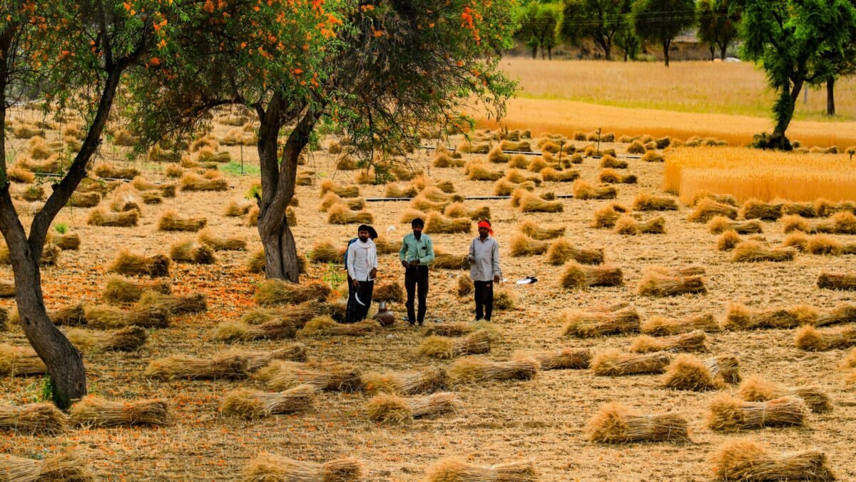 ಕರ್ನಾಟಕ ಬರಪೀಡಿತ ತಾಲೂಕುಗಳು ಮತ್ತು ಒಣಗಿದ ಕೃಷಿ ಪ್ರದೇಶದ ಪ್ರತಿನಿಧಿ ಚಿತ್ರ