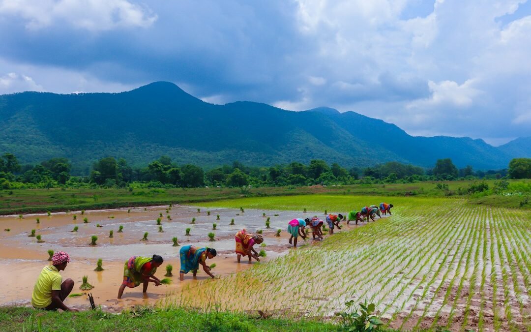 ಕರ್ನಾಟಕ ಭಾರಿ ಮಳೆ ಎಚ್ಚರಿಕೆ ಮತ್ತು ಕೃಷಿ ಹೊಲ