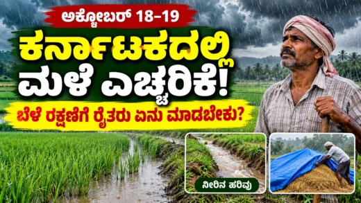 ಮಳೆ ಮೋಡಗಳು ಮತ್ತು ಕರ್ನಾಟಕದ ರೈತರ ಹೊಲದ ದೃಶ್ಯ; IMD ಹವಾಮಾನ ಮುನ್ಸೂಚನೆ