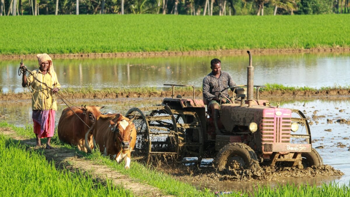 ಕೃಷಿ ವೆಚ್ಚ ದಾಖಲಿಸುತ್ತಿರುವ ರೈತ