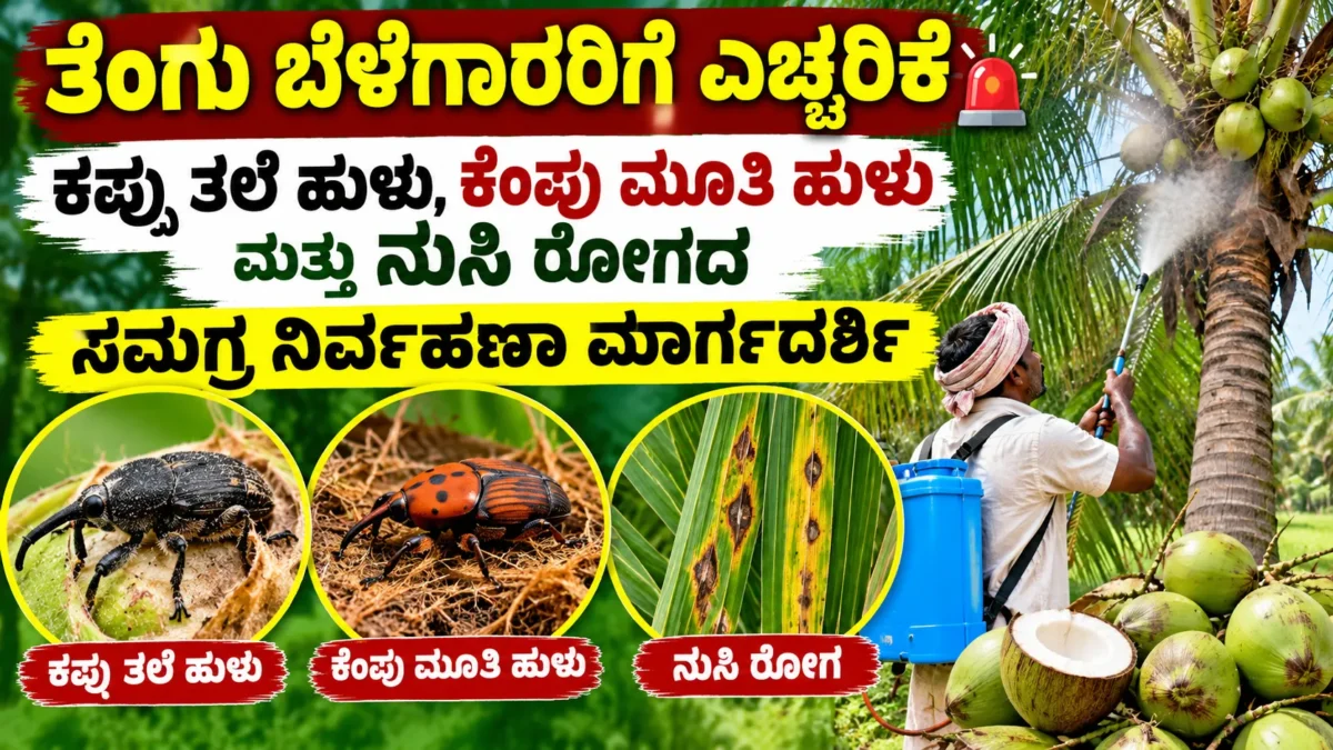 ತೆಂಗಿನ ಮರಗಳ ಕೀಟ ಬಾಧೆ ಮತ್ತು ತೆಂಗು ಬೆಳೆ ರೋಗ ನಿರ್ವಹಣೆ ಕುರಿತ ಚಿತ್ರ