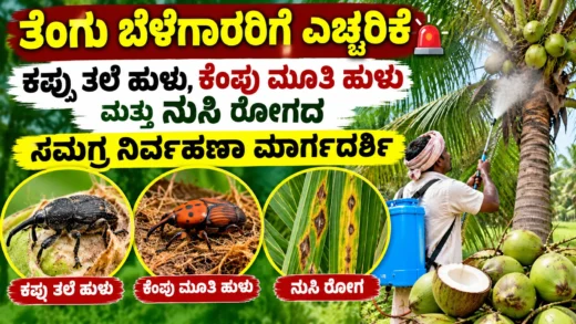 ತೆಂಗಿನ ಮರಗಳ ಕೀಟ ಬಾಧೆ ಮತ್ತು ತೆಂಗು ಬೆಳೆ ರೋಗ ನಿರ್ವಹಣೆ ಕುರಿತ ಚಿತ್ರ