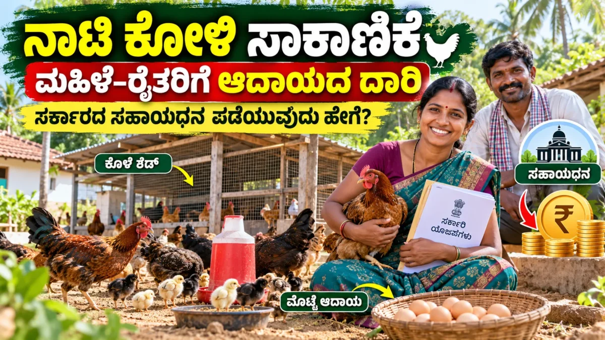 ಗ್ರಾಮೀಣ ಹಿತ್ತಲಲ್ಲಿ ನಾಟಿ ಕೋಳಿ ಸಾಕಾಣಿಕೆ ಮತ್ತು ಕೋಳಿ ನಿರ್ವಹಣೆ ಕುರಿತ ಚಿತ್ರ