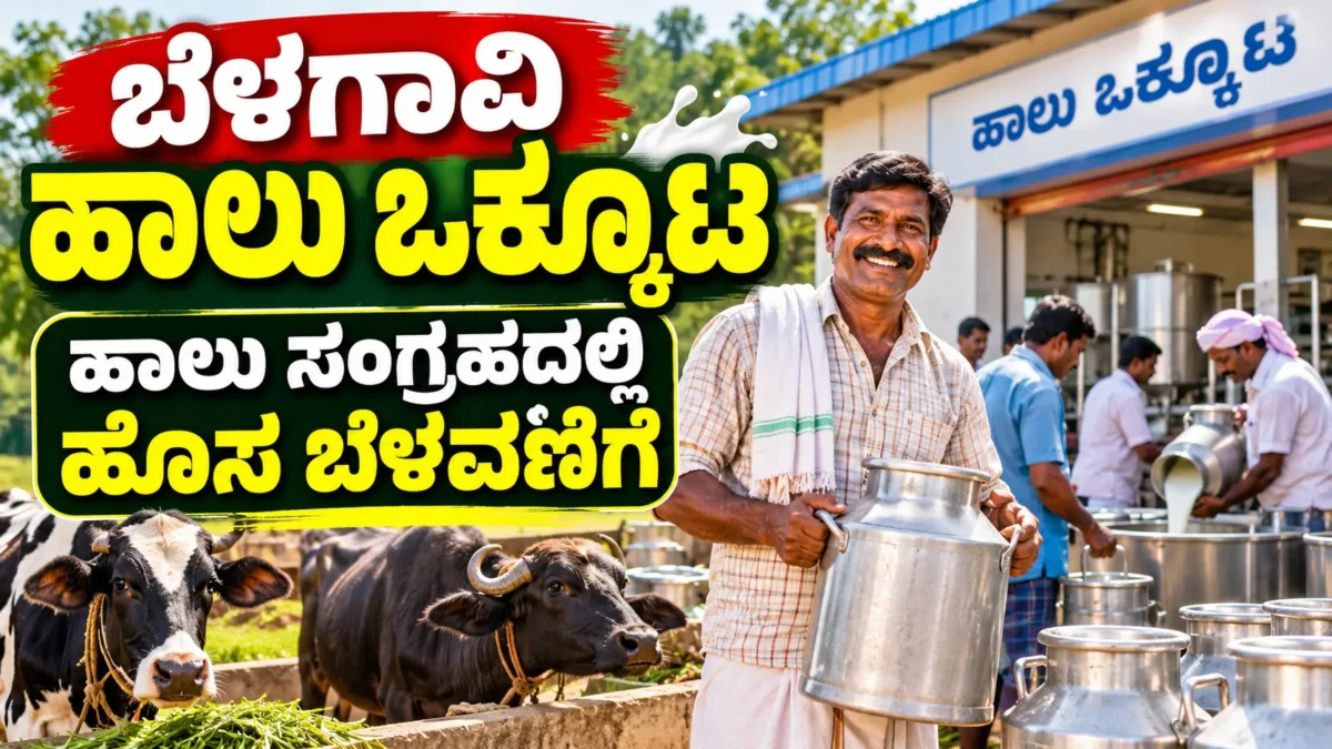 ಬೆಳಗಾವಿ BEMUL ಹಾಲು ಉತ್ಪಾದಕರ ಸಹಕಾರಿ ಒಕ್ಕೂಟದ ಹಾಲು ಸಂಗ್ರಹ ಕುರಿತ ಚಿತ್ರ