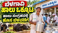 ಬೆಳಗಾವಿ BEMUL ಹಾಲು ಉತ್ಪಾದಕರ ಸಹಕಾರಿ ಒಕ್ಕೂಟದ ಹಾಲು ಸಂಗ್ರಹ ಕುರಿತ ಚಿತ್ರ