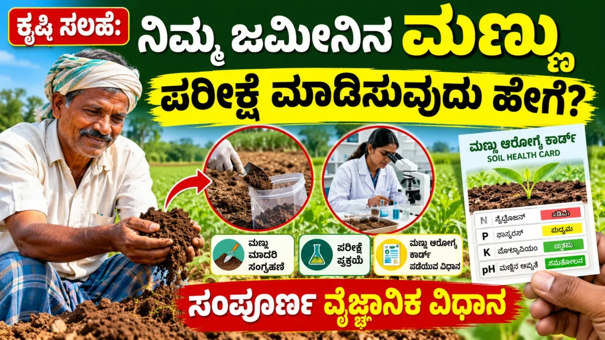 ರೈತ ಮಣ್ಣಿನ ಮಾದರಿ ಸಂಗ್ರಹಿಸಿ ಮಣ್ಣು ಪರೀಕ್ಷೆ ಮಾಡಿಸುವ ಪ್ರಕ್ರಿಯೆಯ ಮಾಹಿತಿ ಚಿತ್ರ