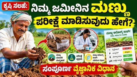 ರೈತ ಮಣ್ಣಿನ ಮಾದರಿ ಸಂಗ್ರಹಿಸಿ ಮಣ್ಣು ಪರೀಕ್ಷೆ ಮಾಡಿಸುವ ಪ್ರಕ್ರಿಯೆಯ ಮಾಹಿತಿ ಚಿತ್ರ