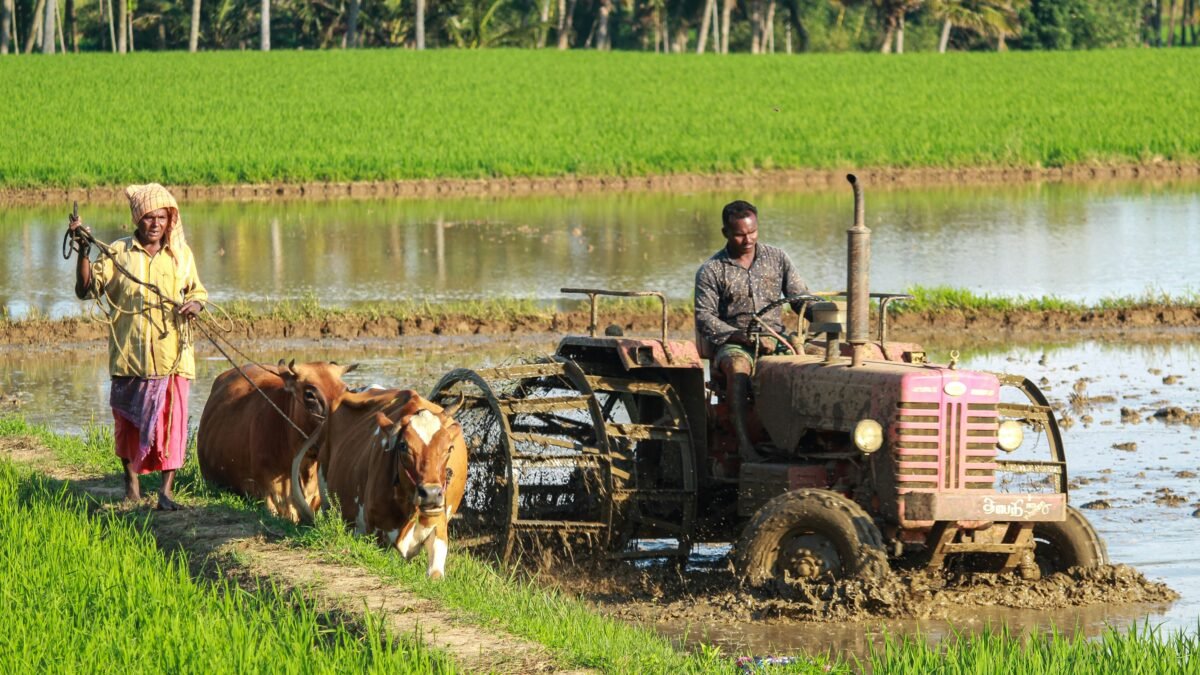 ಮಣ್ಣು ಪರೀಕ್ಷೆ ಮತ್ತು ಗೊಬ್ಬರ ಯೋಜನೆ ಮಾಡುವ ರೈತ