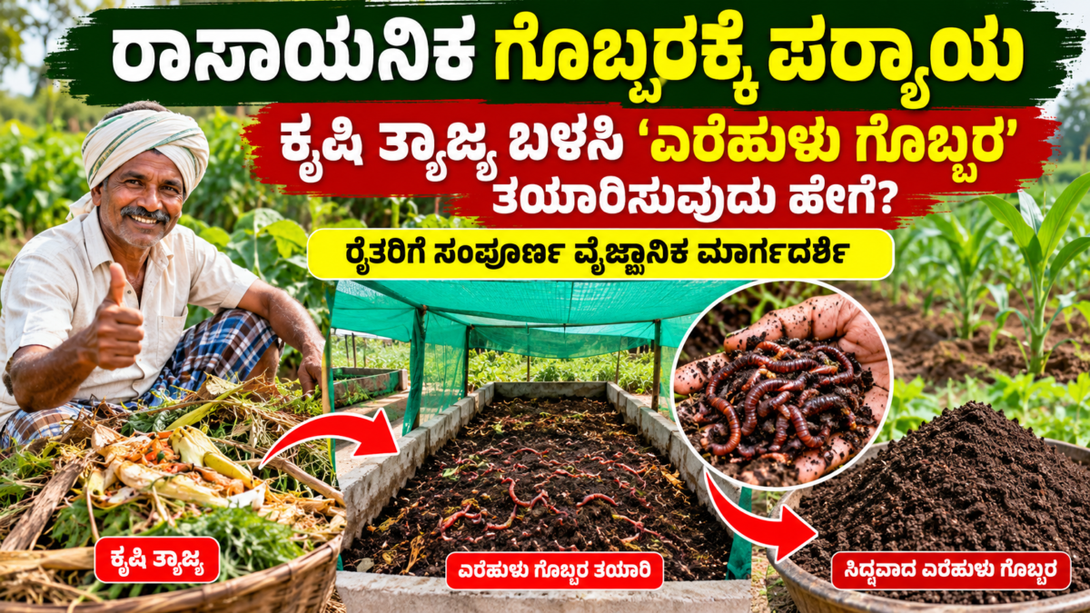 ಕೃಷಿ ತ್ಯಾಜ್ಯದಿಂದ ಎರೆಹುಳು ಗೊಬ್ಬರ ತಯಾರಿಸುವ ವಿಧಾನ