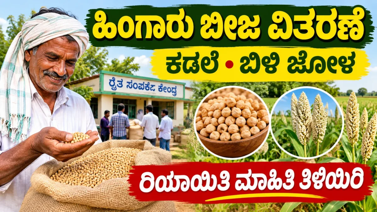 ಕರ್ನಾಟಕದ ಹಿಂಗಾರು ಹಂಗಾಮಿಗೆ ಕಡಲೆ ಮತ್ತು ಬಿಳಿ ಜೋಳ ಬಿತ್ತನೆ ಬೀಜಗಳ ಚಿತ್ರ