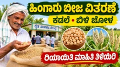 ಕರ್ನಾಟಕದ ಹಿಂಗಾರು ಹಂಗಾಮಿಗೆ ಕಡಲೆ ಮತ್ತು ಬಿಳಿ ಜೋಳ ಬಿತ್ತನೆ ಬೀಜಗಳ ಚಿತ್ರ